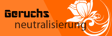 Autoaufbereitung Regensburg Geruchsneutralisierung